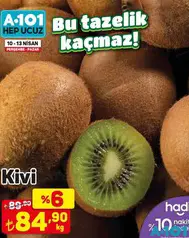KİVİ KG KİVİ KG